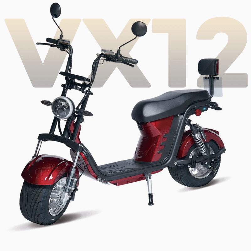 Voltara VX12 - 1.000w